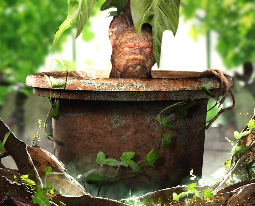 Mandrake